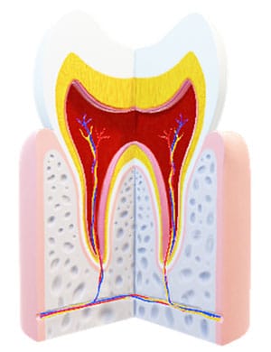 Pain in Teeth
